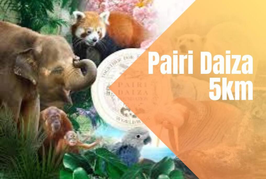 Charmant Logement Brugelette Proche De Pairi Daiza Bagian luar foto